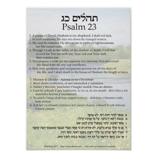 salmo 23 en ingles